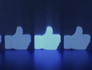 202312181544438302412